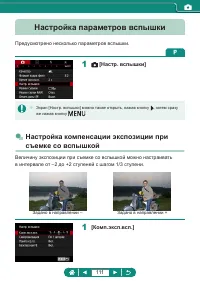 Страница 111