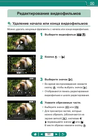 Страница 181