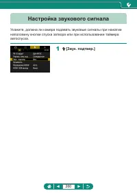 Страница 260