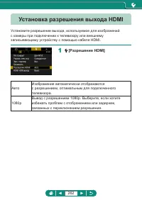 Страница 262