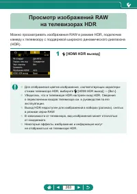 Страница 263