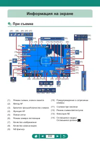 Страница 302