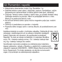 Страница 31