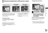 Страница 43