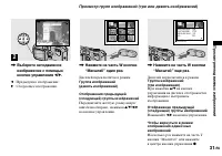 Страница 31
