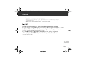 Страница 251