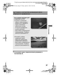 Страница 67