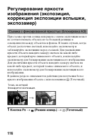 Страница 116