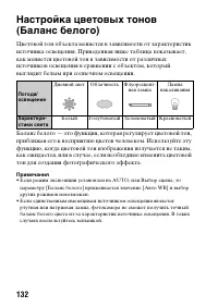 Страница 132