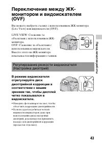Страница 43