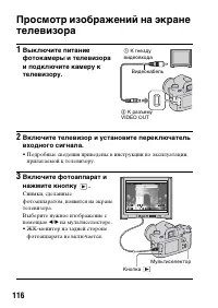 Страница 116
