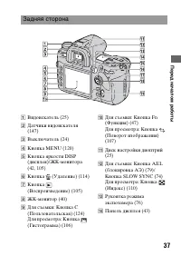 Страница 37