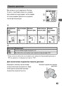 Страница 43
