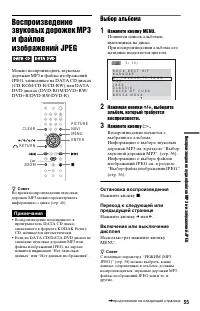 Страница 55