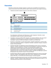 Страница 111