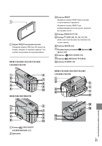 Страница 81