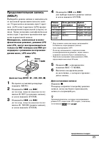 Страница 25