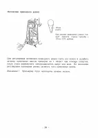 Страница 43