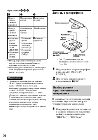 Страница 36