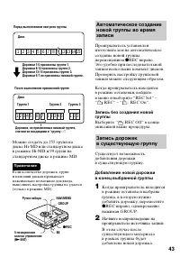 Страница 43