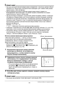 Страница 43