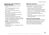 Страница 43