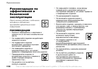 Страница 116