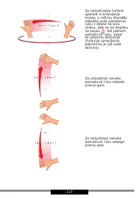 Страница 117