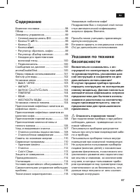 Страница 101