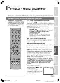 Страница 43