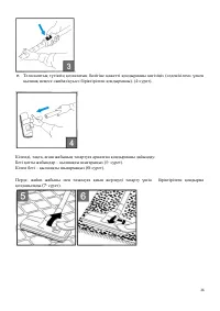 Страница 36