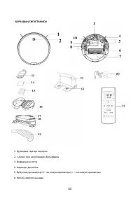 Страница 55
