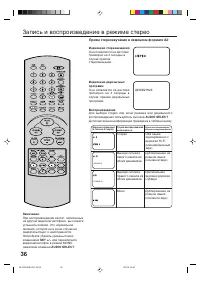 Страница 36