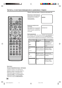 Страница 36