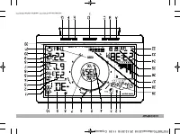 Страница 38