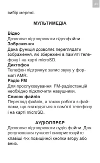 Страница 43