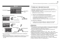 Страница 43