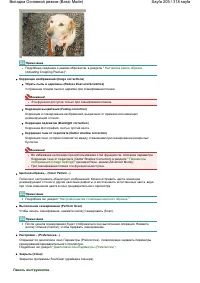 Страница 205