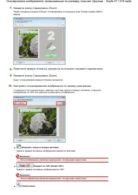 Страница 37
