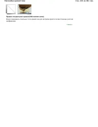Страница 233