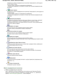 Страница 248