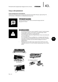 Страница 43