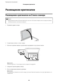 Страница 43