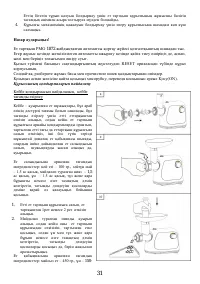 Страница 31