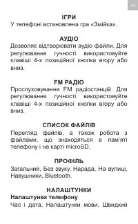Страница 43