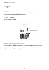 Страница 55