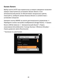 Страница 25