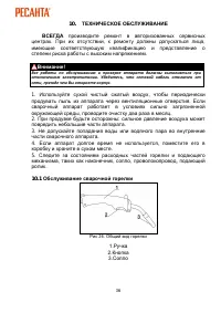 Страница 36