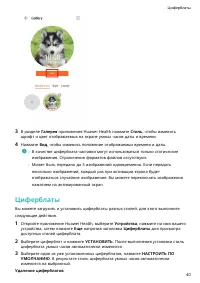 Страница 42