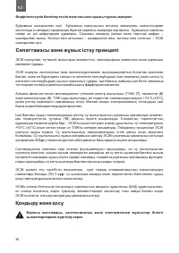Страница 36